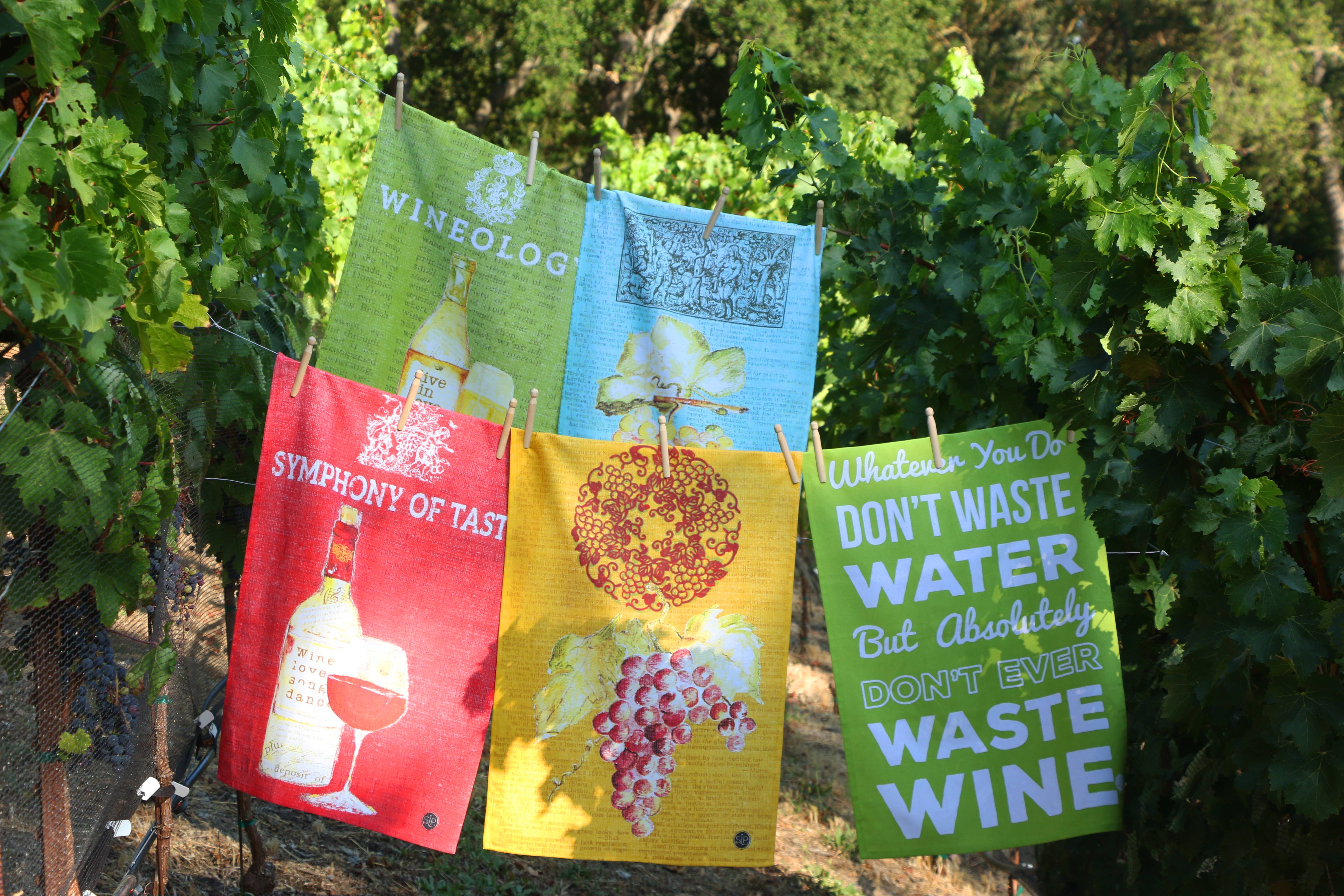 SIP - Vendita all'ingrosso Strofinacci - Asciugamano da cucina «Wine Series Green»5