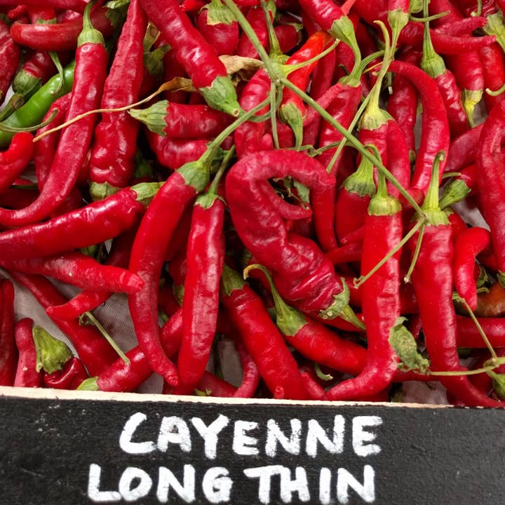 Sow True Seed - Wholesale Plant Seeds - Hot Pepper Seeds - Cayenne Long Red Thin2