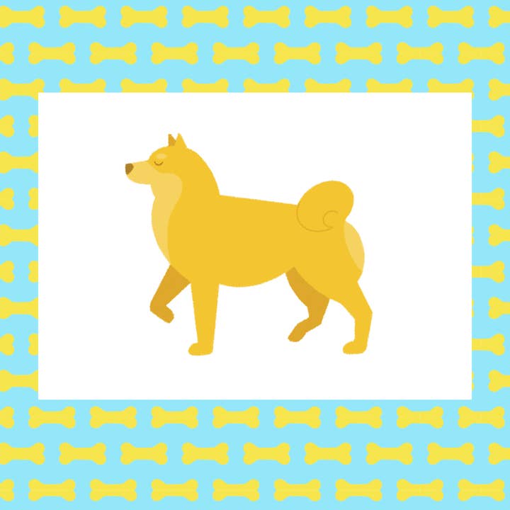 Shibainu honden karte für den Großhandel von pup store "no giftshop for pussies"