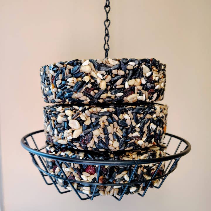Backyard Tailz - Wholesale Bird Feeder - Stackable 6" Birdseed Patties (Nut Berry Fruit)2