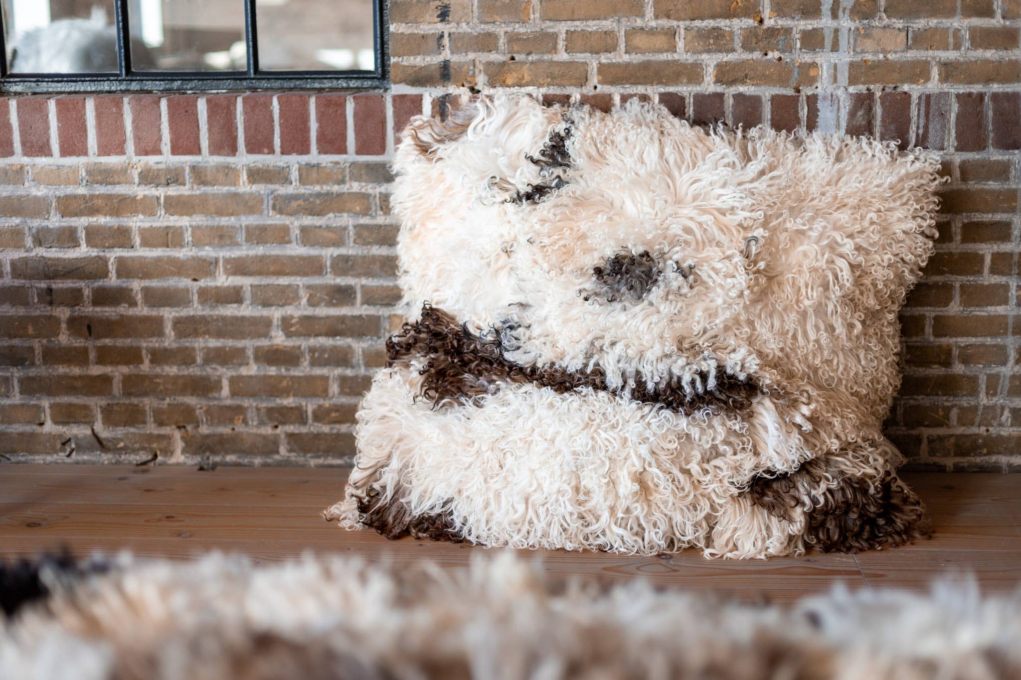 Van Buren – wholesale Throw/decorative pillow – Sheepskin cushion - 80x80cm - Curly fleece