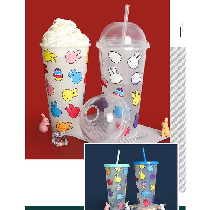 Haaro - Wholesale Drinking Glass/Cup - Reusable Color Changing Cup With Straw - Assorted1