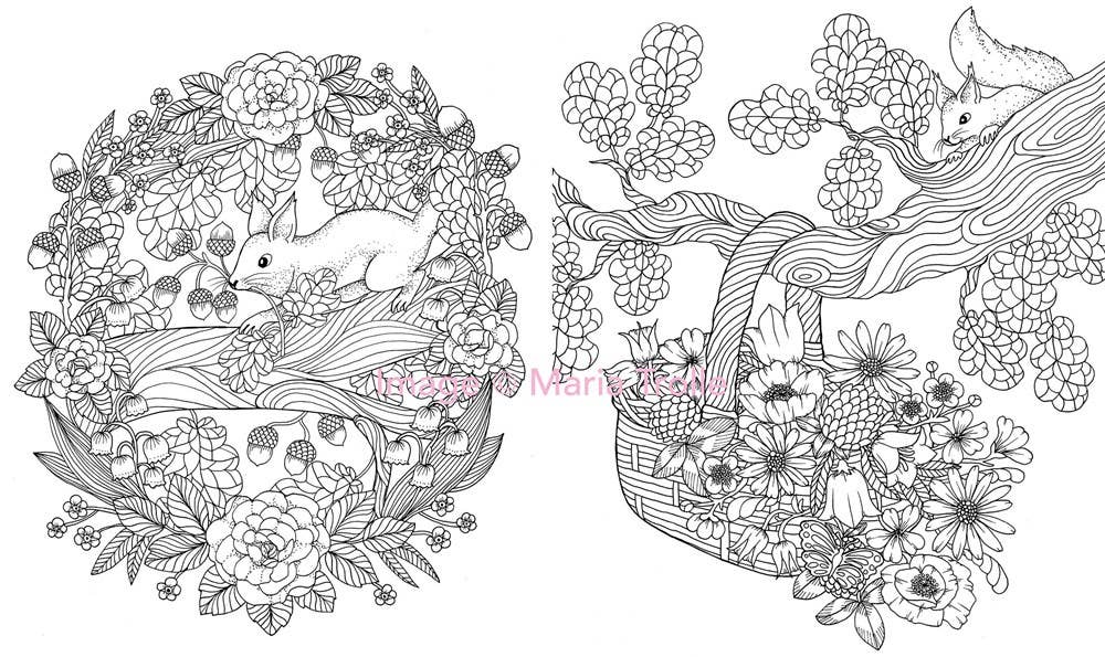 Gibbs Smith - Vente Livre de coloriage et d'activités pour adultes - Livre de coloriage Twilight Garden3