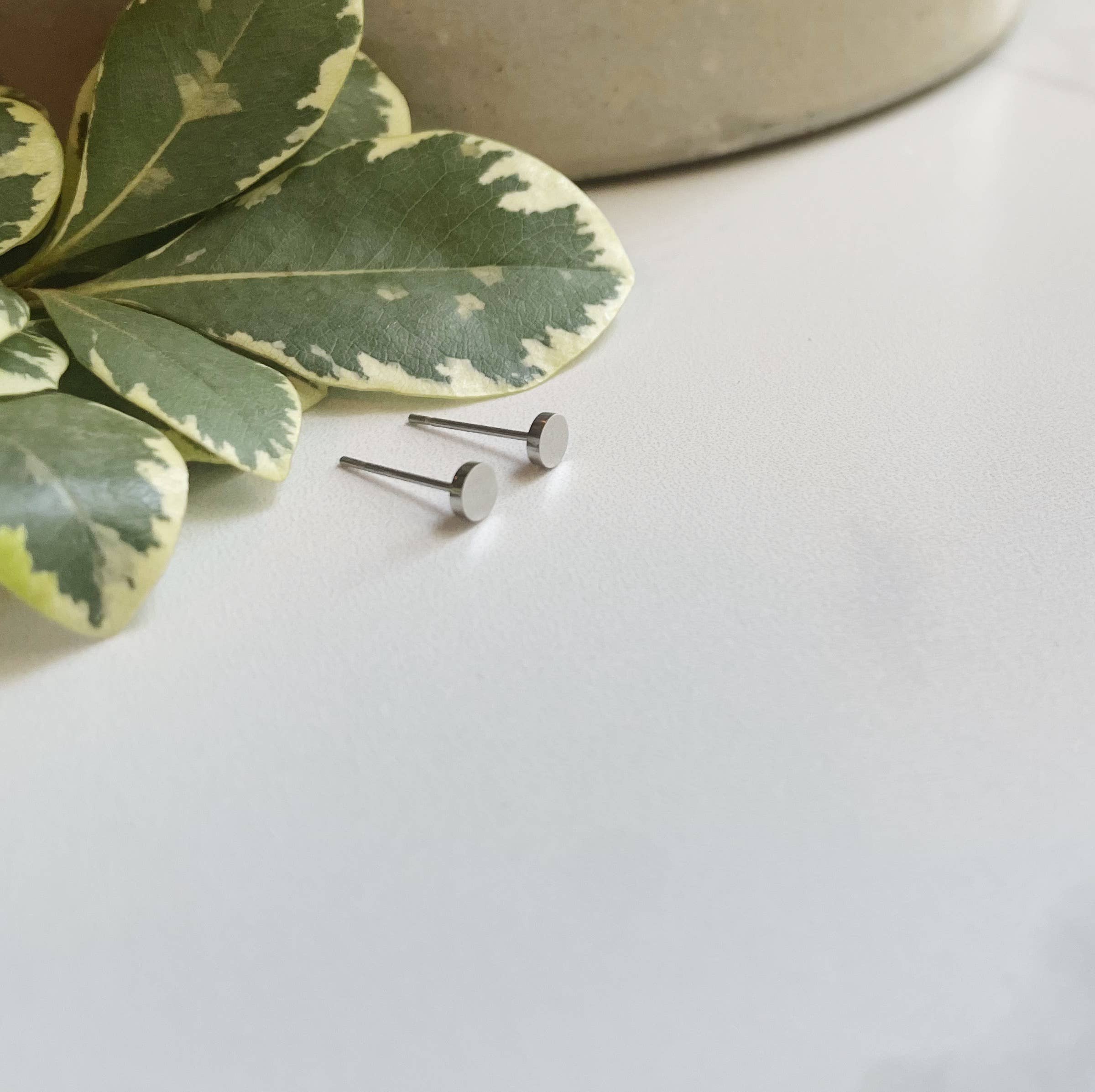 Wild Juniper - Venta al por mayor Pendientes de botón/aretes de poste - Pendientes de plata, tachuelas hipoalergénicas, círculos pequeños4