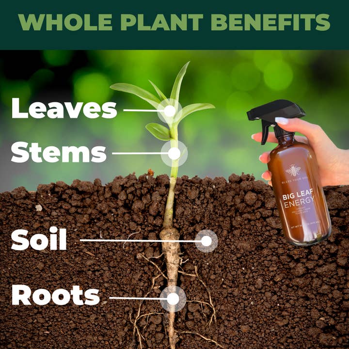 Bless Your Soil - Wholesale Fertilizer - Big Leaf Energy® (16FLOZ Glass) RTU Organic Neem Spray3