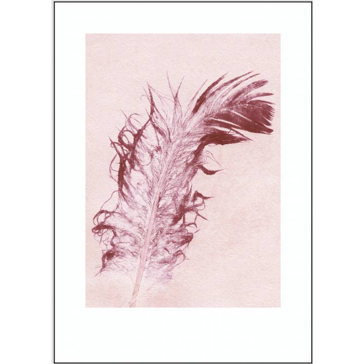 Pernille Folcarelli USA - Wholesale Art Print - Feather Marsala