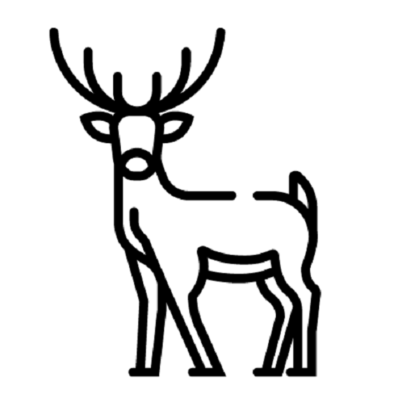 Berbician - Wholesale Ham - Venison - Ground2