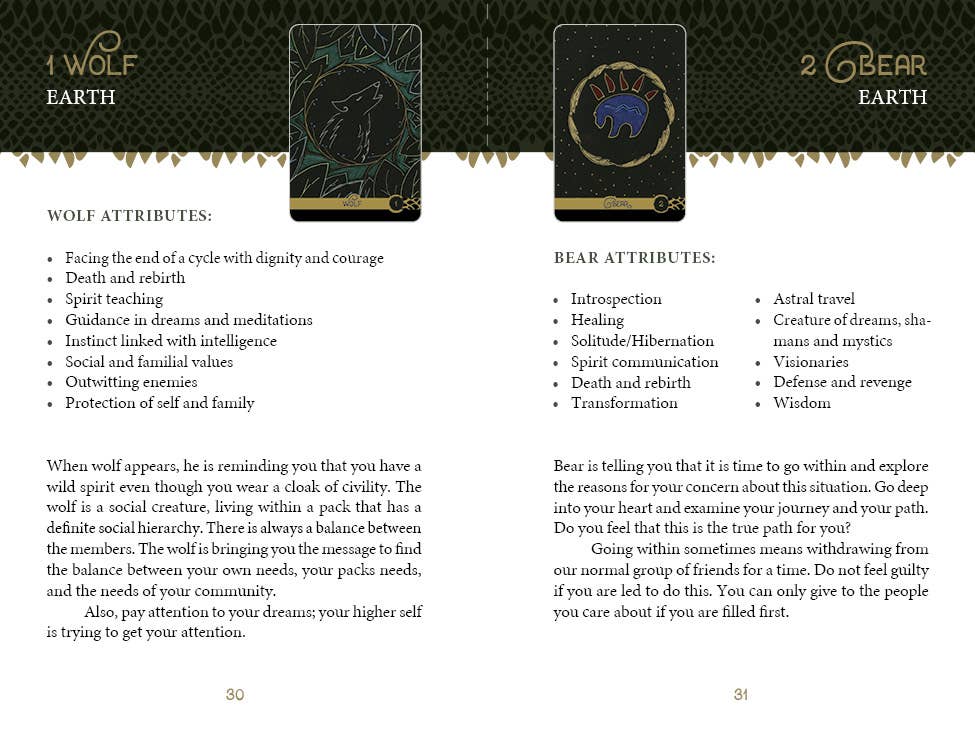 REDFeather - Wholesale Tarot Cards - The Wild Elemental Oracle5