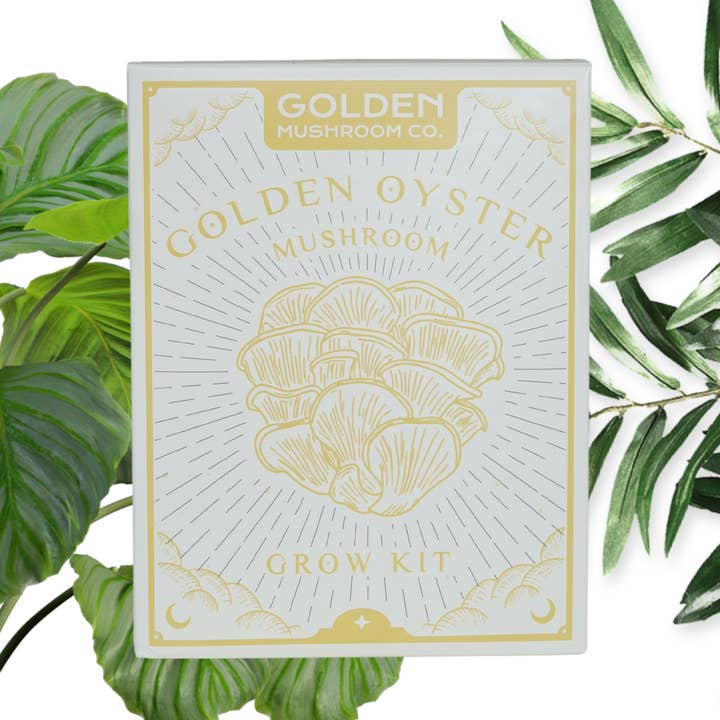 Golden Mushroom Co - Wholesale DIY Food Kit - Golden Oyster Mushroom Grow Kit