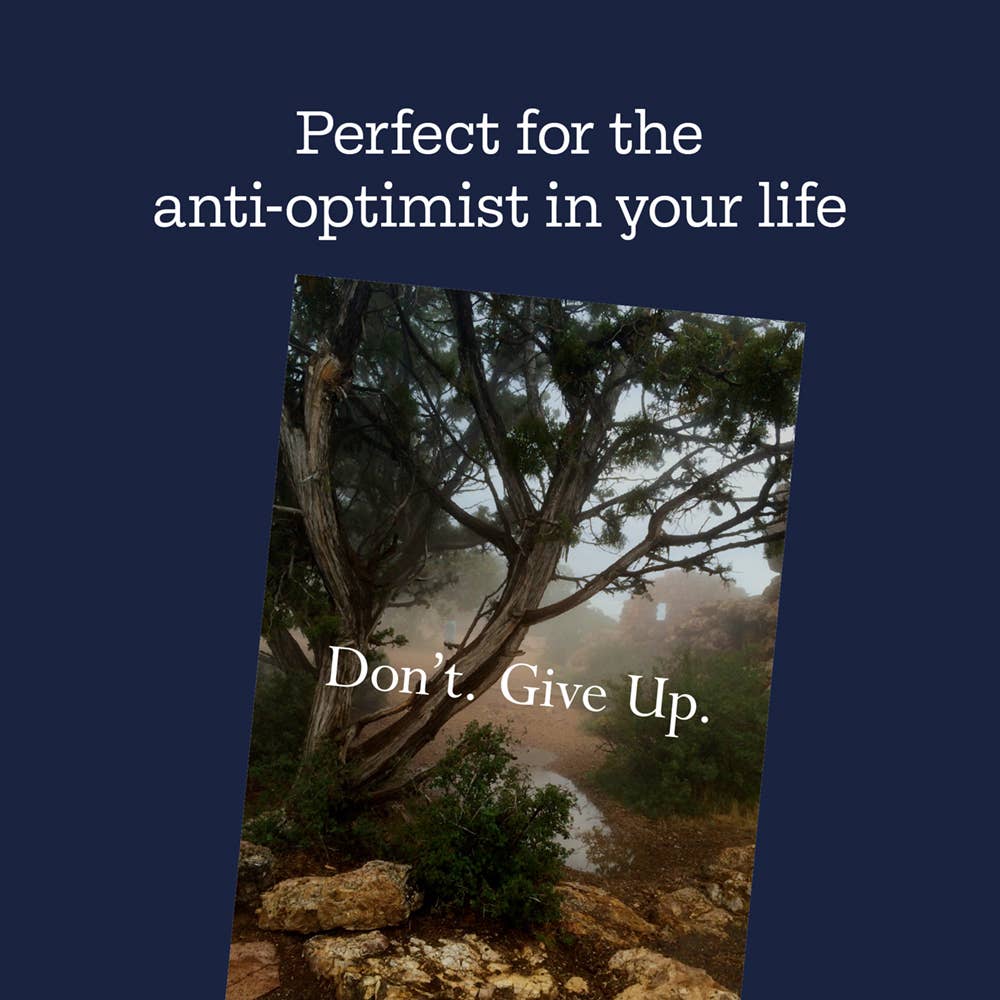 Chronicle Books - Wholesale Humor - Disappointing Affirmations7