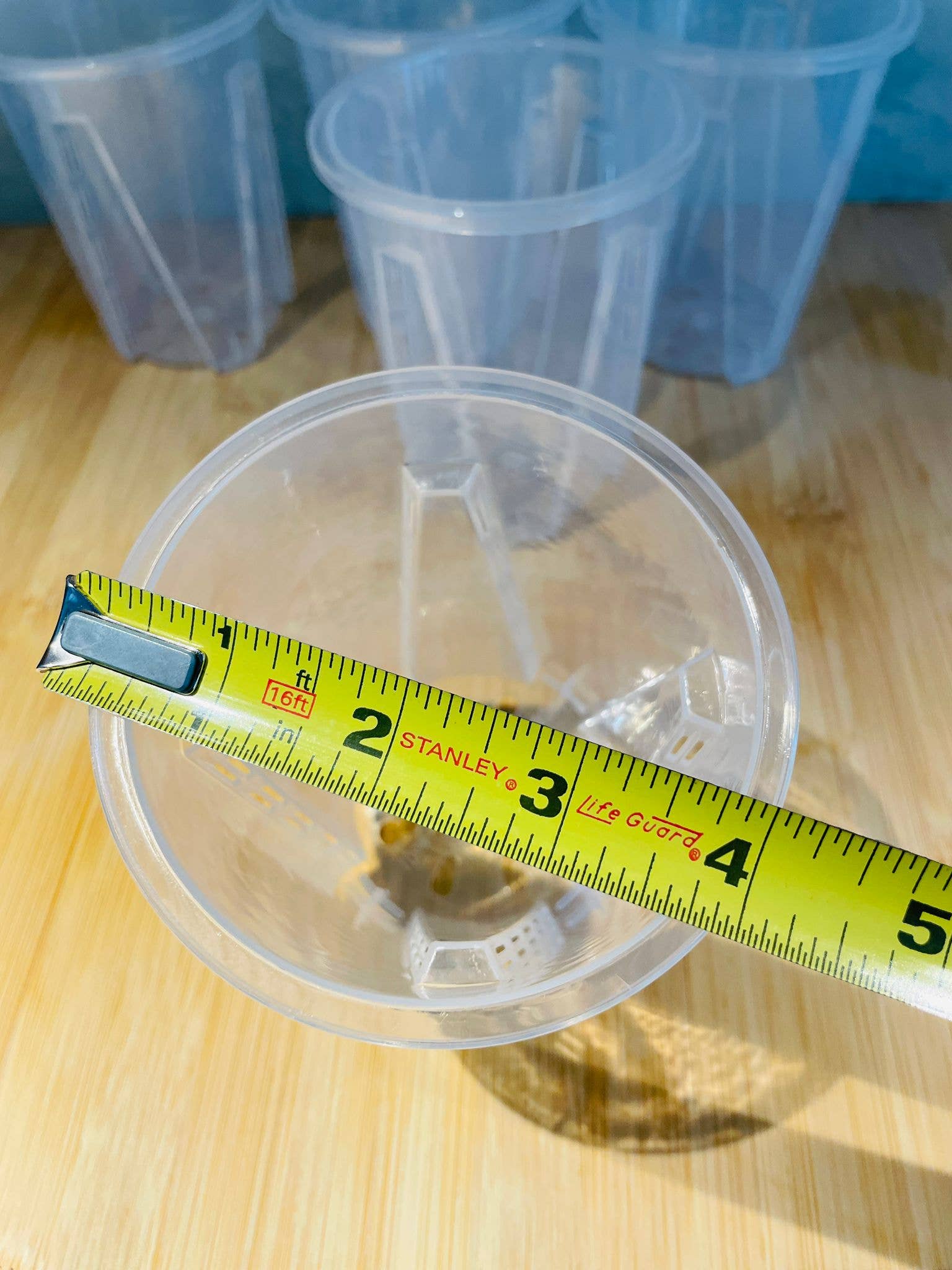 Coco and Palm Trees - Wholesale Plant Pot - Clear Nursery Pot 4"4