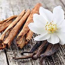 Vanilla & Cinnamon Fragrance Oil for wholesale by Calico Crafts