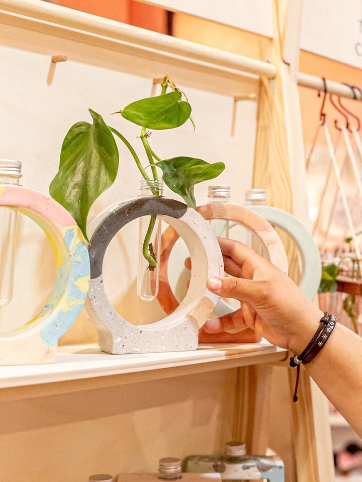 Circle Propagation Station for wholesale by The Plant Committee