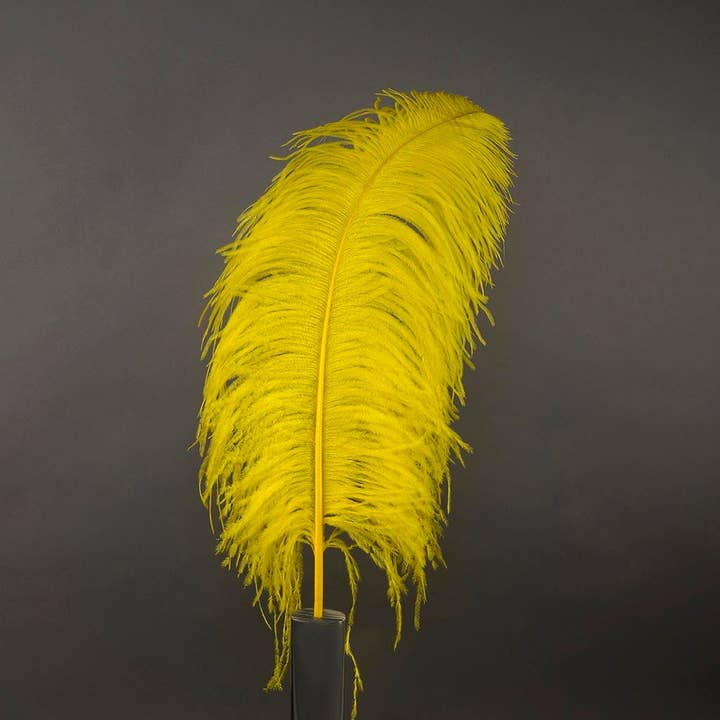 Large Ostrich Feathers - 24-30" Prime Femina Plumes - Yellow for wholesale by Zucker Feather Products