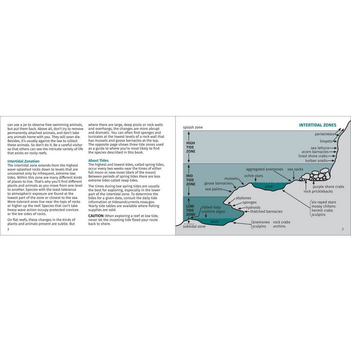 AdventureKEEN - Wholesale Nature & Outdoors - Pacific Intertidal Life 2nd Edition2