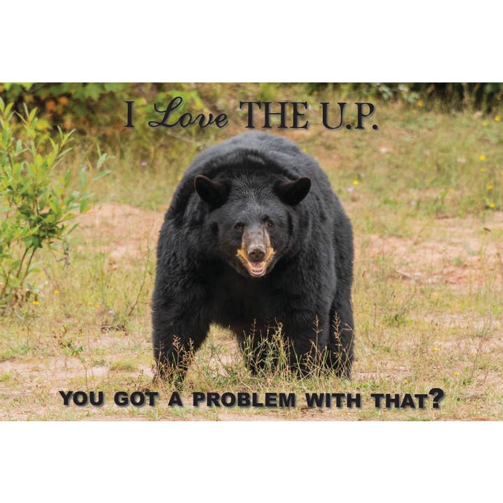 Oso | Tarjeta postal para venta al por mayor de Phil Stagg Photography