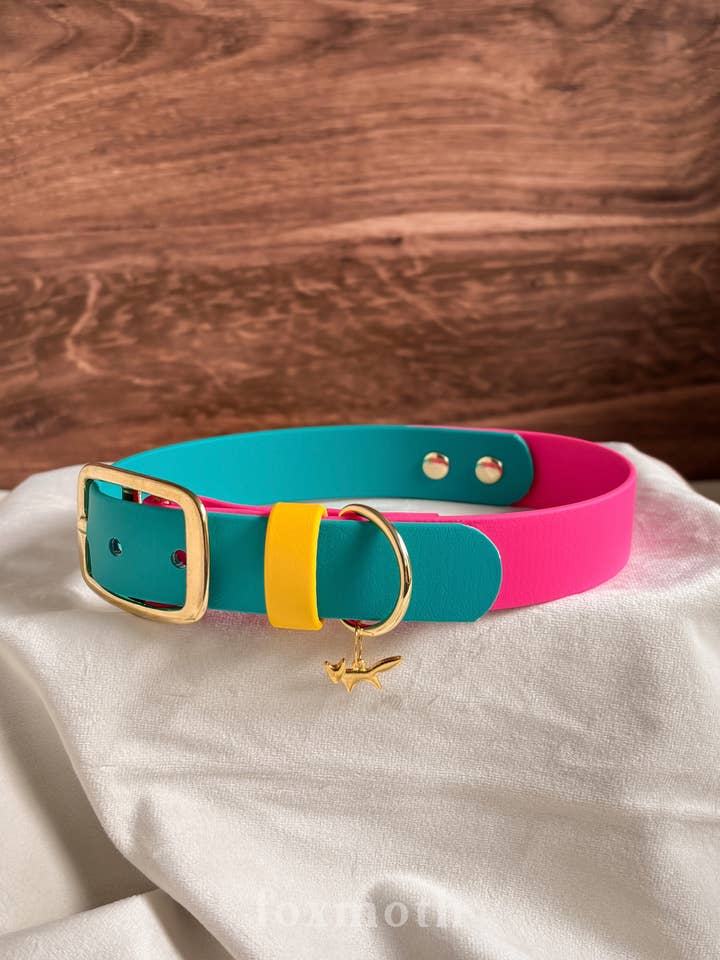 Waterproof Biothane Dog Collar | Modern Retro Design for wholesale by FoxMoth