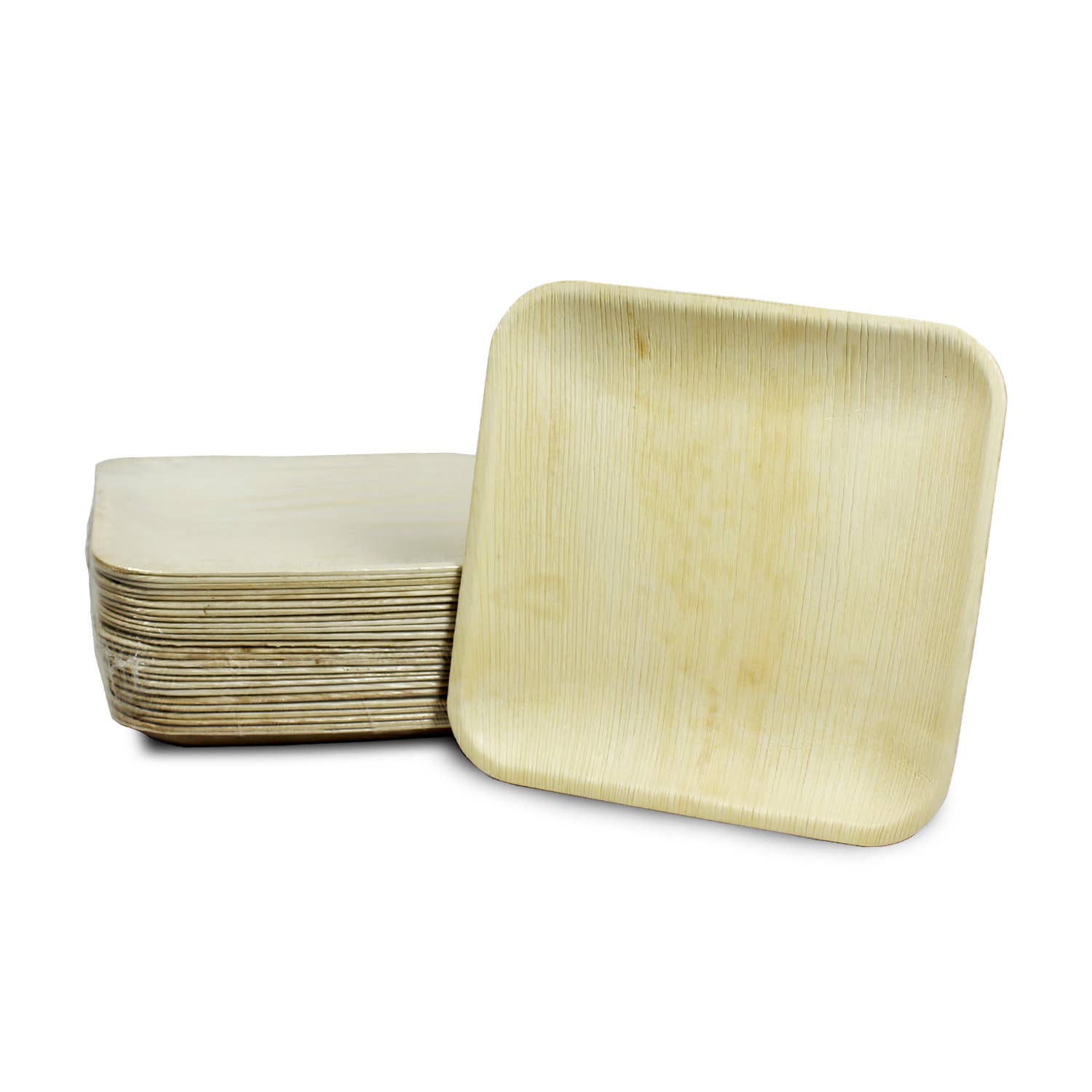 Karmic Seed - Wholesale Disposable Plate - Palm Leaf Bamboo Like Square Plates- Pack of 25 plates6