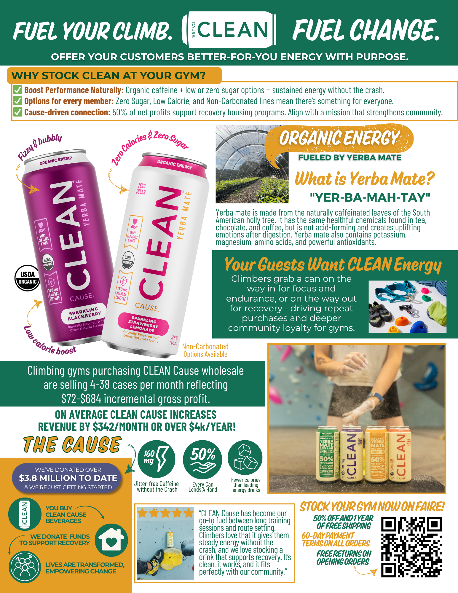 CLEAN Cause - Wholesale Iced Tea - Organic Blackberry Sparkling Yerba Mate Tea – 12-Pack 5