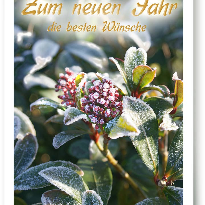 Neujahr / Grußkarte / 239014 für den Großhandel von Yabué