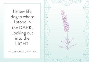 Insight Editions - #1 Pop Culture Publisher - Vente Livre de développement personnel - Mindfulness [Mini-livre]2