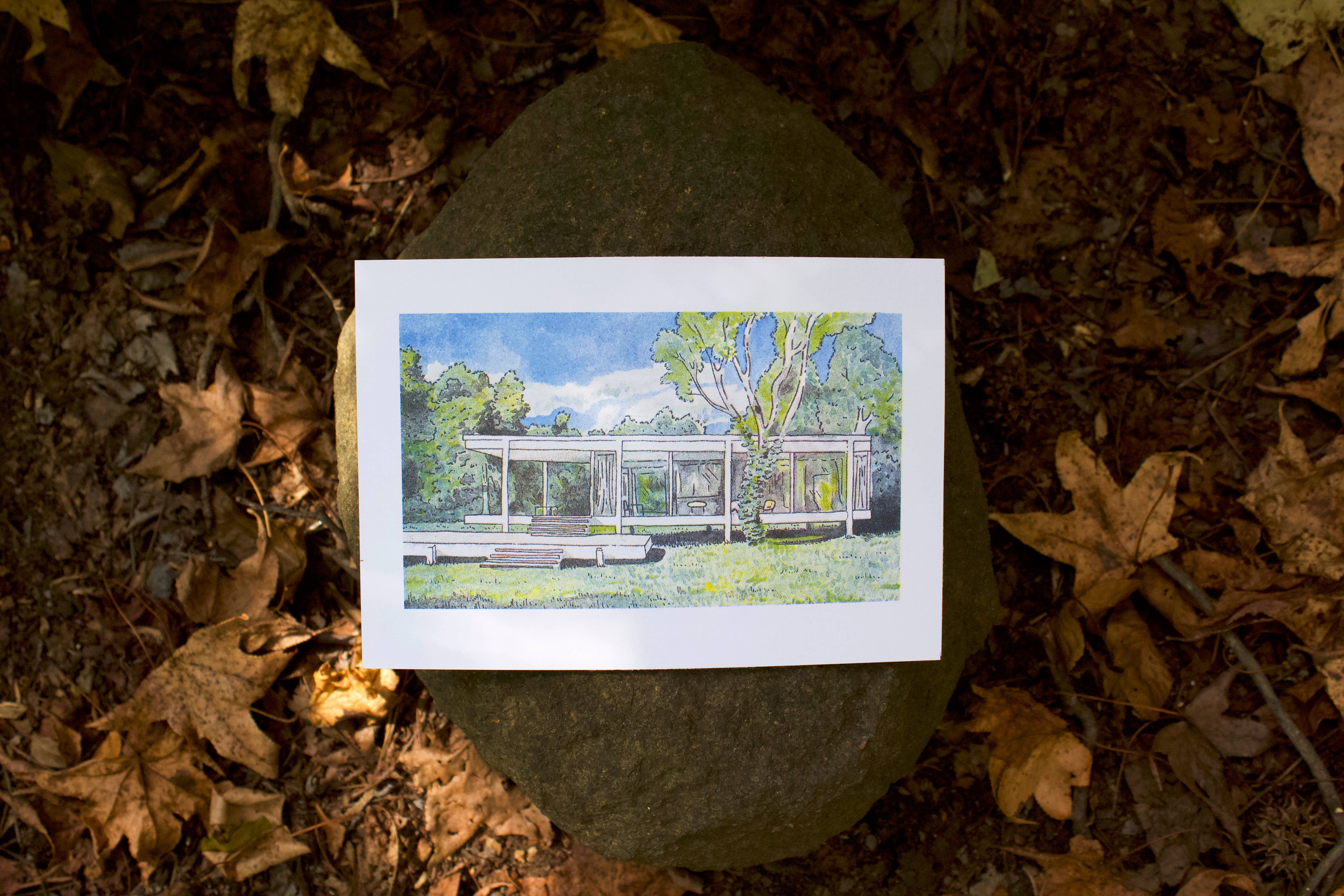 Potato Bread Press - Wholesale Art Print - The Edith Farnsworth House Print2