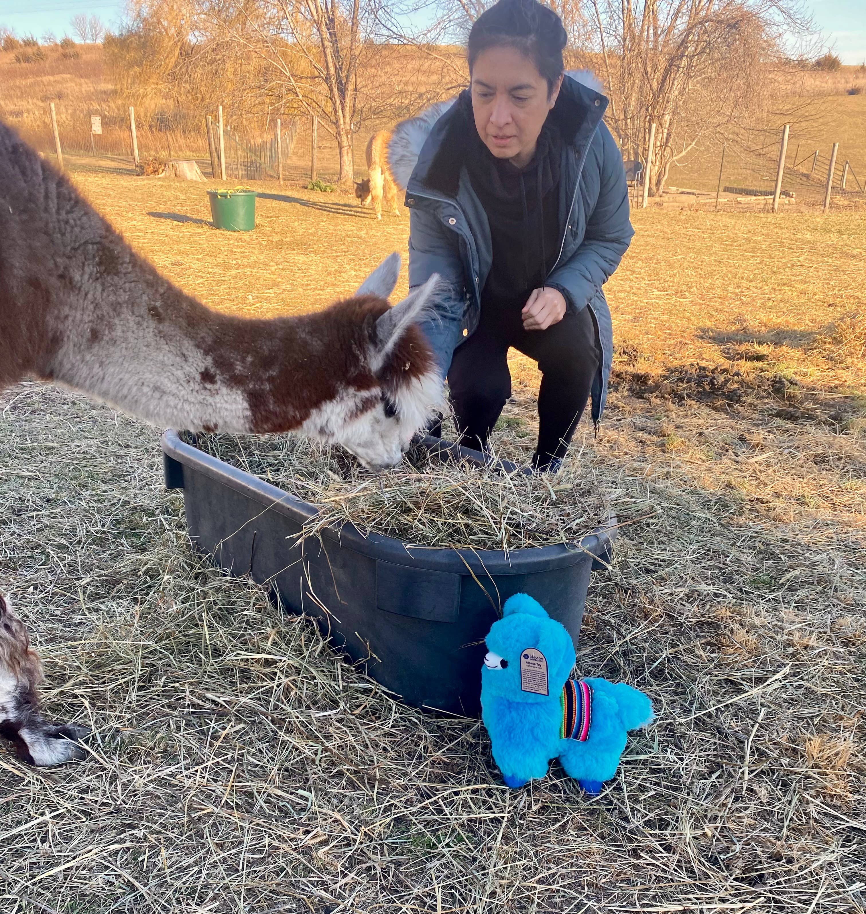 Blossom Inspirations - Wholesale Stuffed/Plush Toy - Kids & Baby - Wawa Kawaii Alpaca Fur Toy5