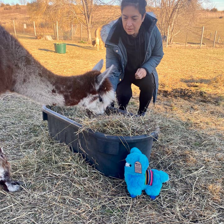 Blossom Inspirations - Wholesale Stuffed/Plush Toy - Kids & Baby - Wawa Kawaii Alpaca Fur Toy5