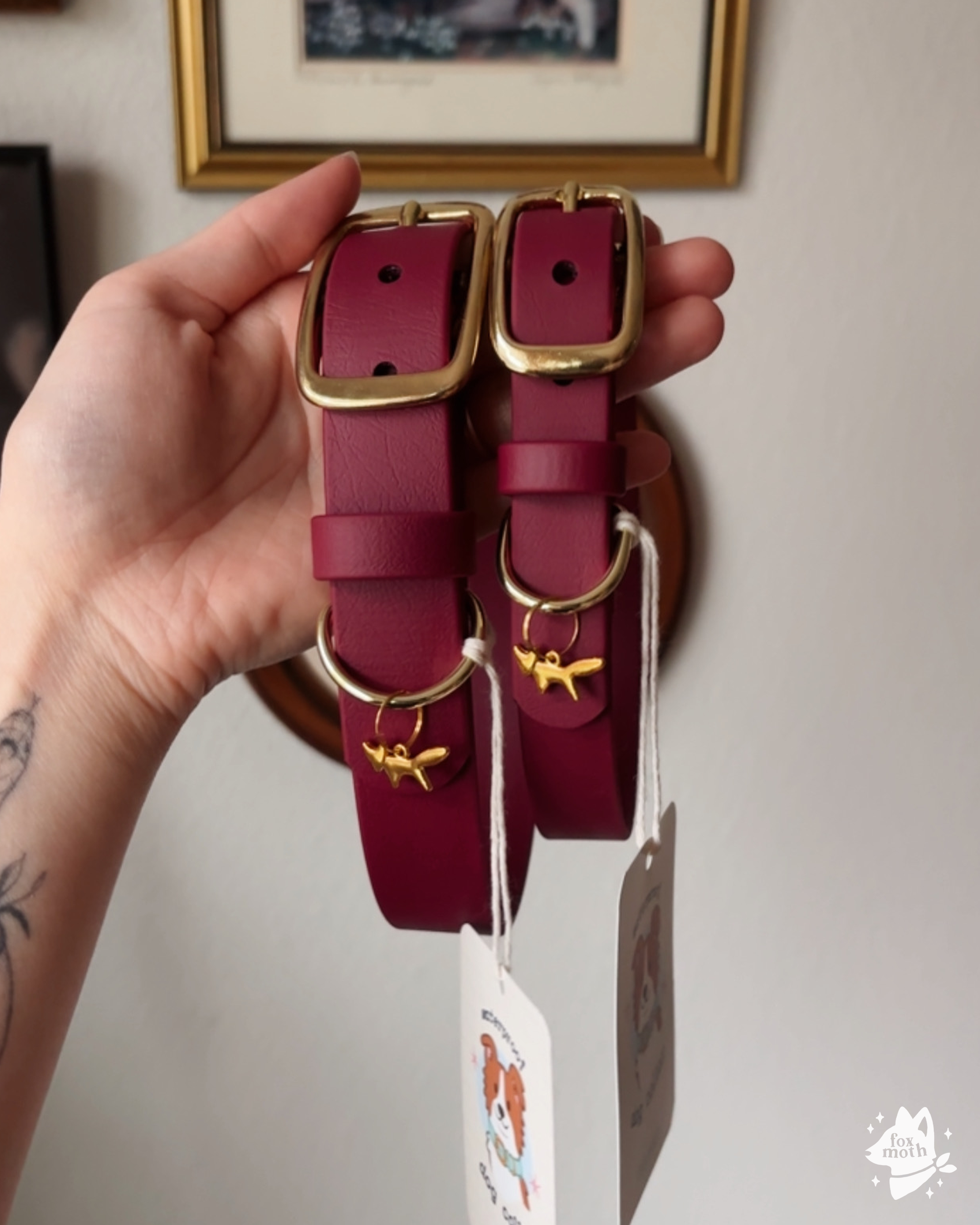 FoxMoth - Wholesale Pet Collar - Dog - Modern Waterproof Biothane Dog Collar [All 17+ Colors]17