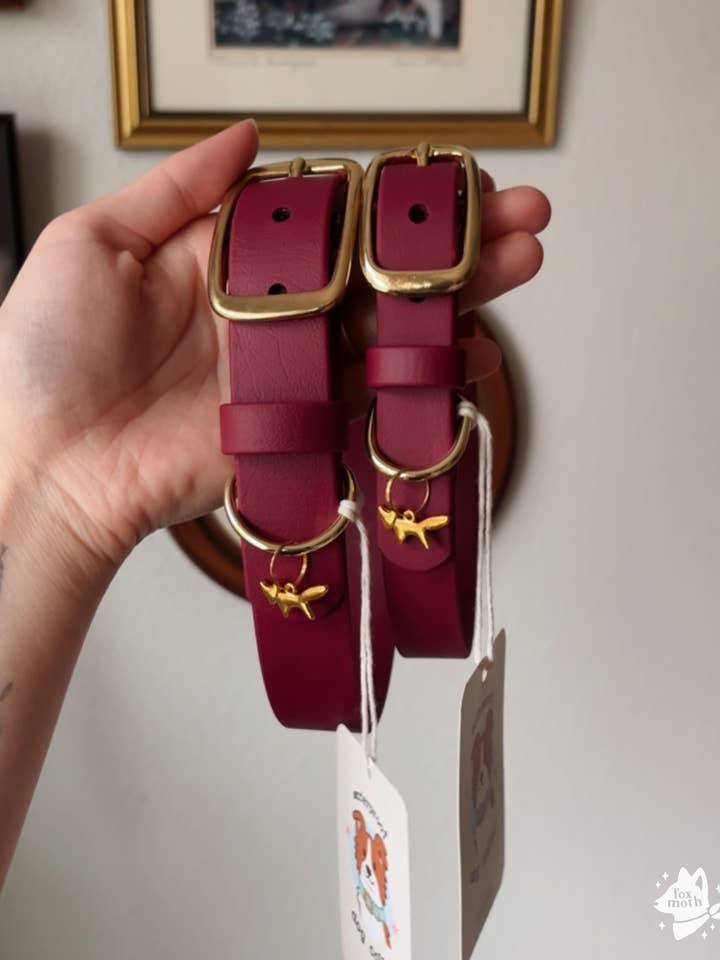Waterproof Biothane Dog Collar | Merlot Color for wholesale by FoxMoth