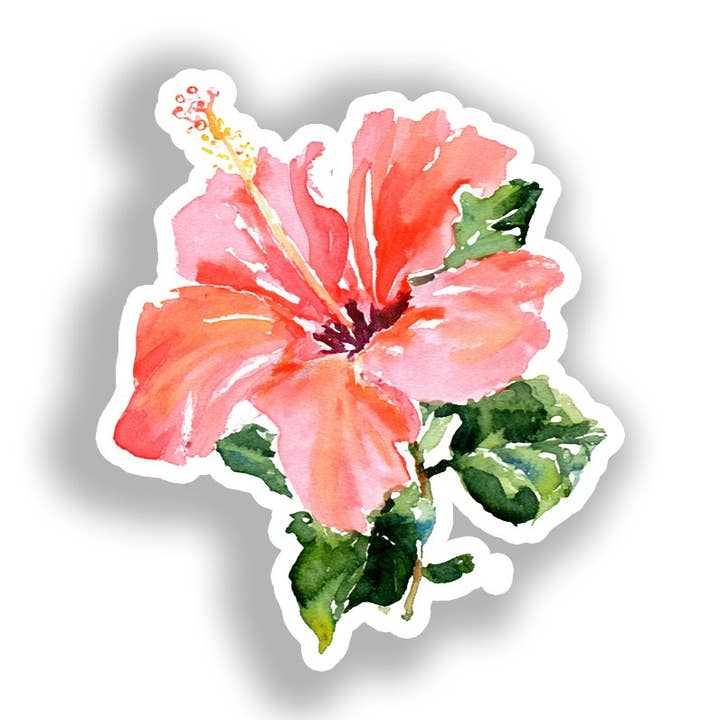 Hibiskusblomma Dekal Klistermärke # A019523 för wholesale av Yoonek Graphics