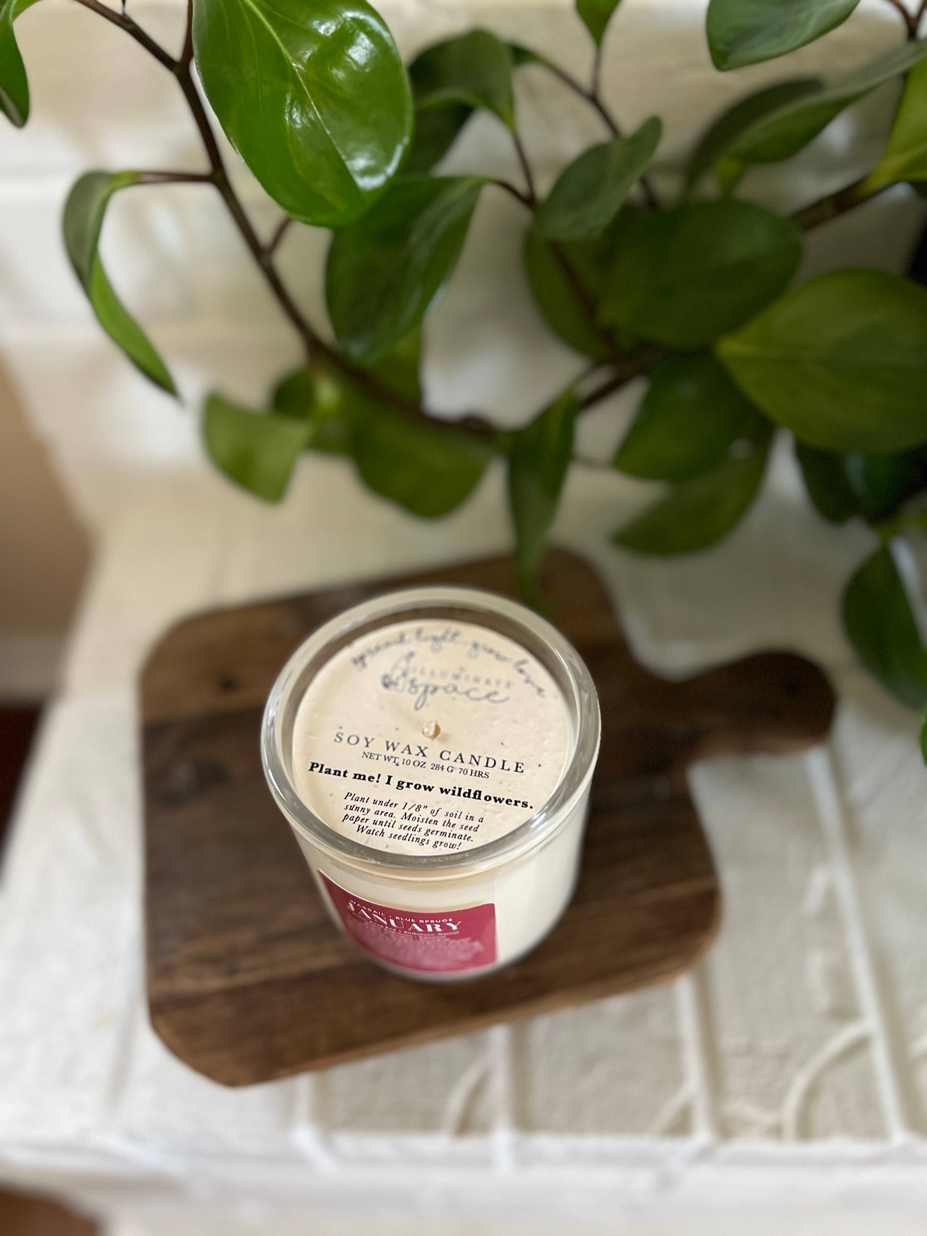 Illuminate Space - Wholesale Jar/Filled Candle - January Birthday Month Candle3