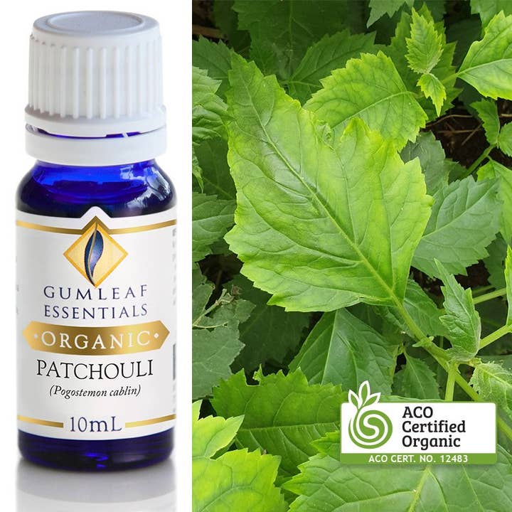 Buckley & Phillips Aromatics - Wholesale Essential Oil - Organic Patchouli Essential Oil