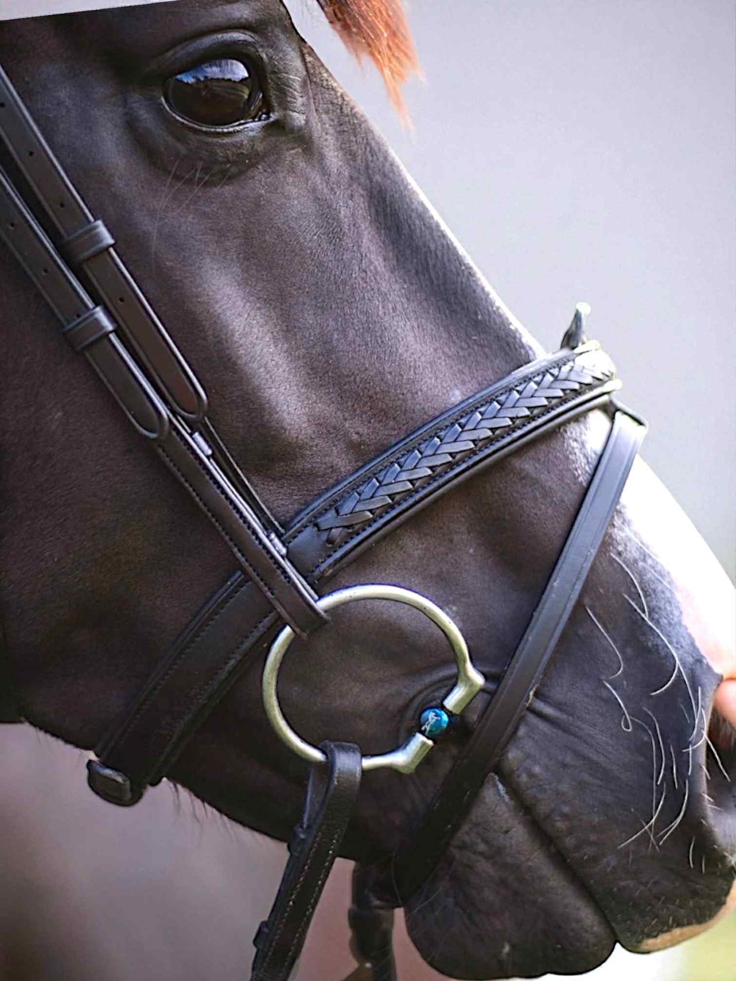 EPONIA EQUESTRIAN LIFESTYLE - Venta al por mayor Equipamiento de equitación - Brida con detalles clásicos trenzados en cuero italiano1