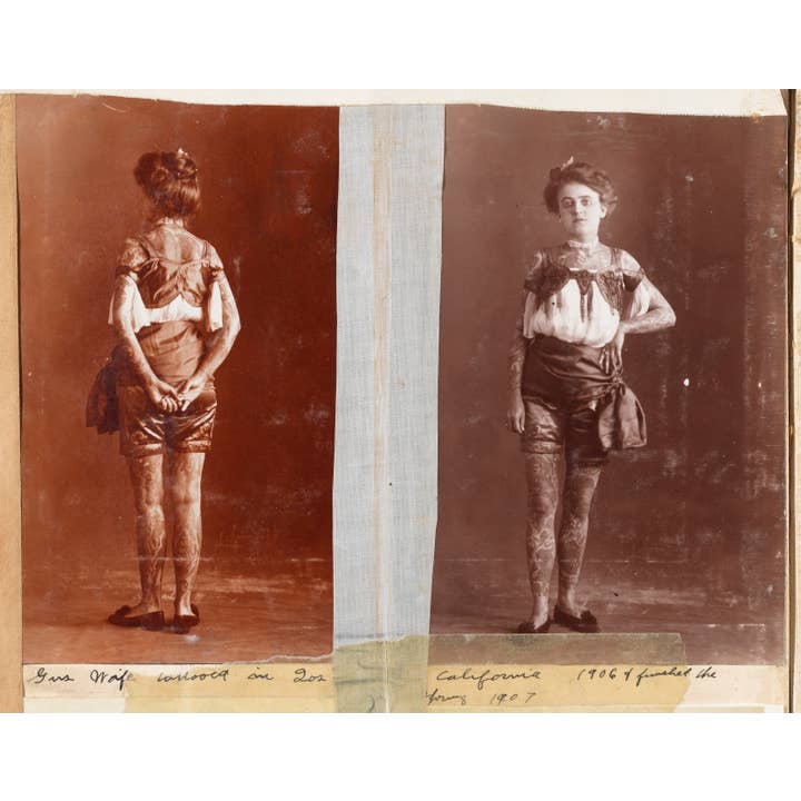 Schiffer Publishing - Wholesale Biography & Memoir - Maud Stevens Wagner: The Mona Lisa of American Tattoo4