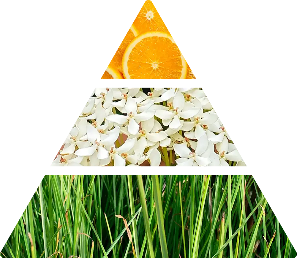 Logevy Firenze 1965 – Engroshandel Parfume/eau de toilette – Parfum Klassisk 75ml4