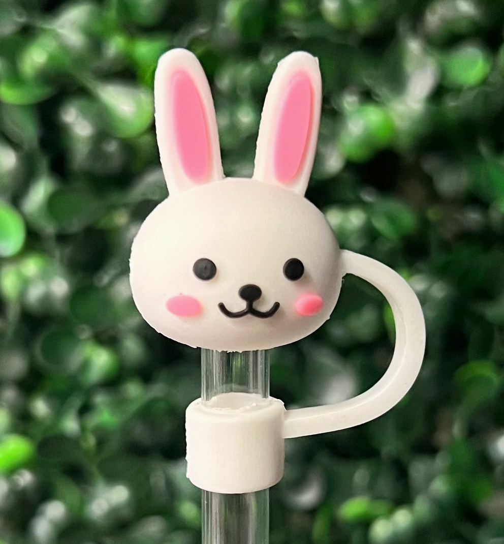 Briano Wholesale - Wholesale Drinking Straw - Other Large Straw Toppers26