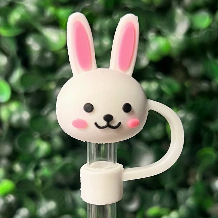 Briano Wholesale - Wholesale Drinking Straw - Other Large Straw Toppers26