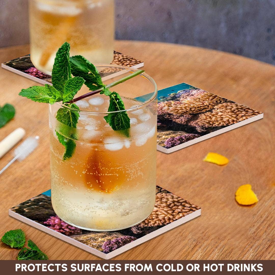 3dRose - Wholesale Coasters - 3dRose, French Polynesia, Bora Bora. Closeup coral garden., Coaster2