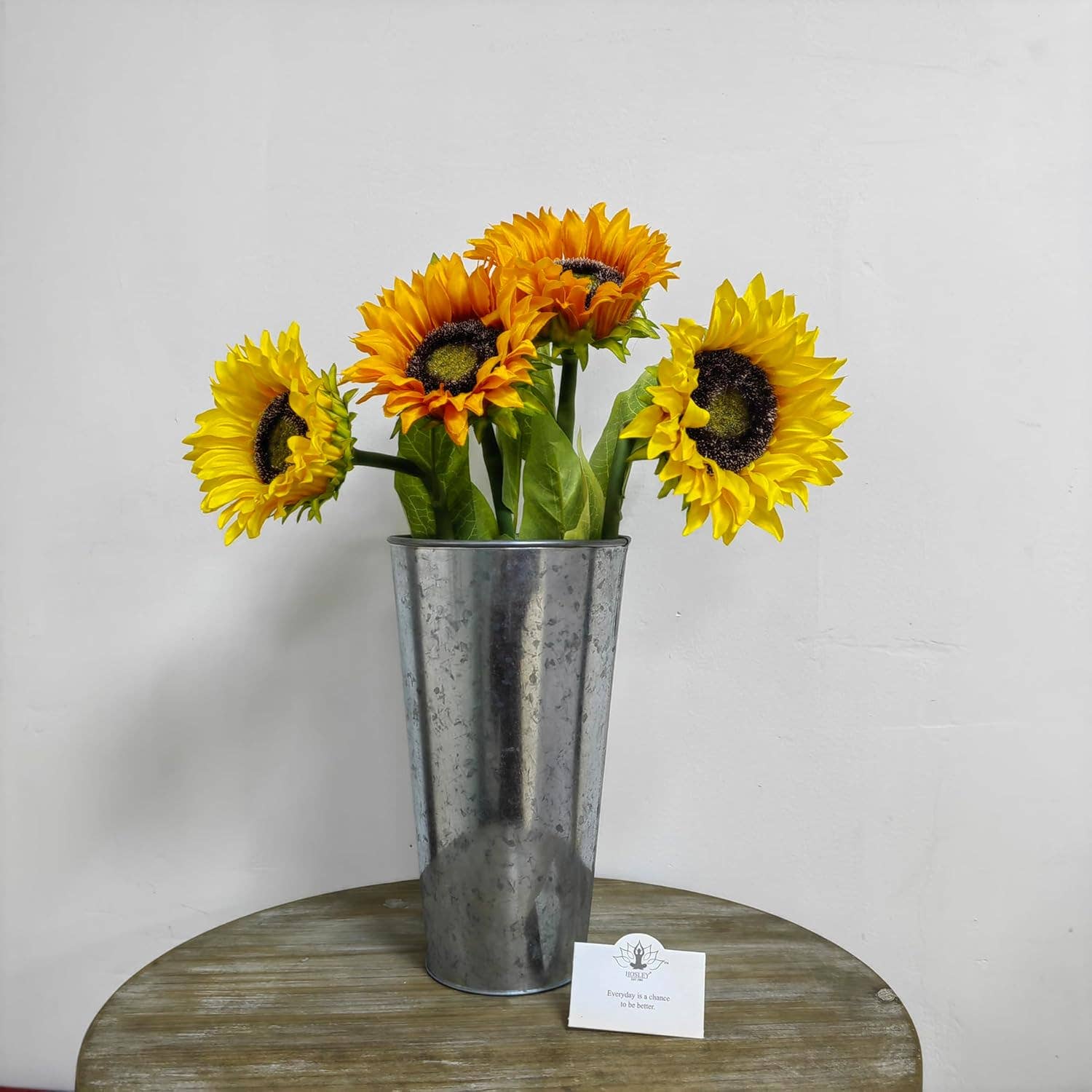 Hosley - Vente Vases - SEAU EN FER Hosley® 9 PO H - 6 ensembles3