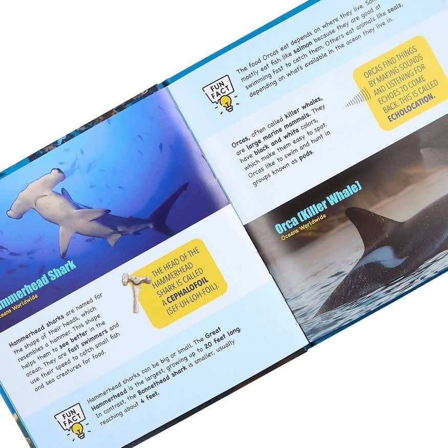 Abracadabra Books - Wholesale Early Reader Book (6-8) - Mini Explorers: Hardcover Box Set10