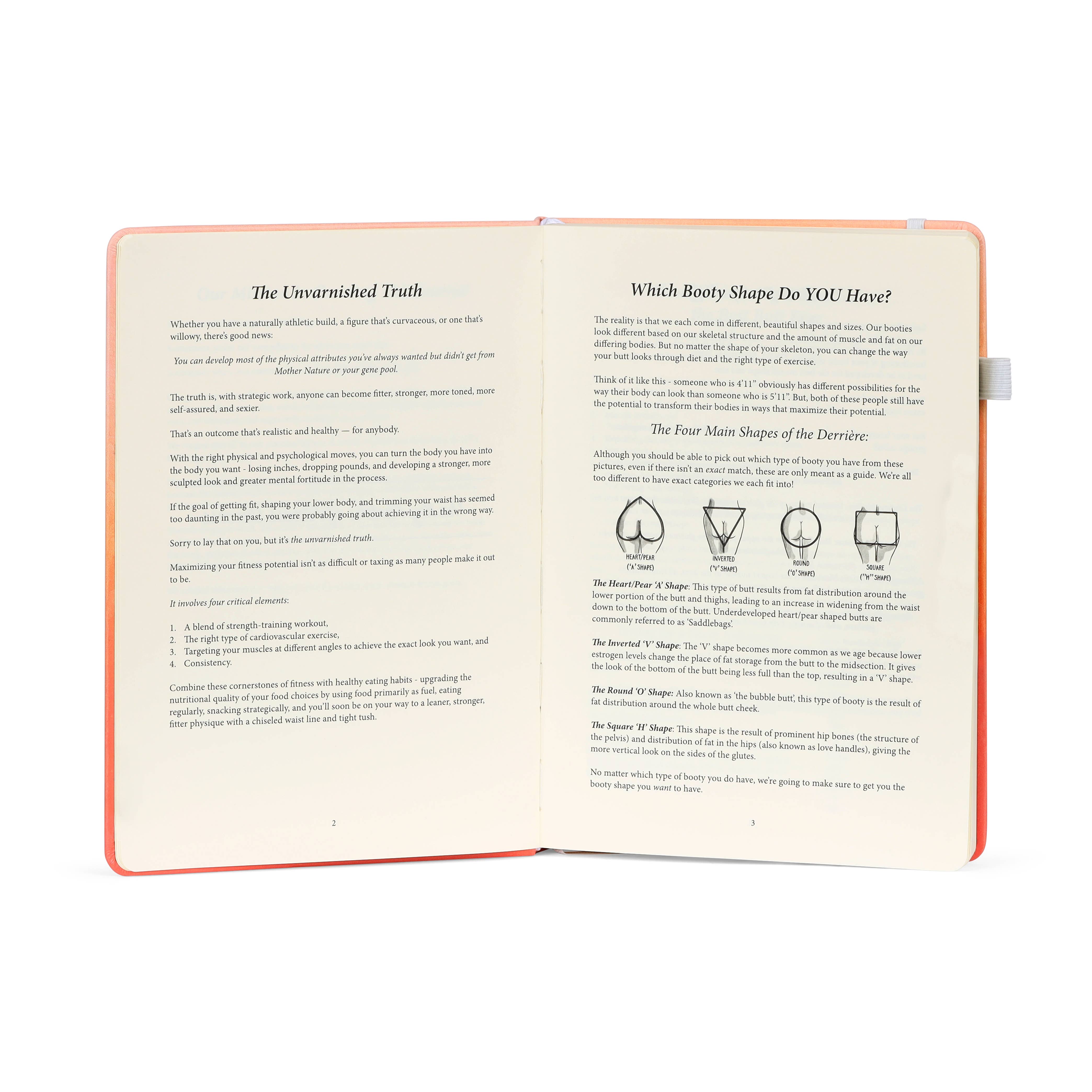 Habit Nest - Wholesale Dagboek/agenda - Het Badass Body Goals Journal2