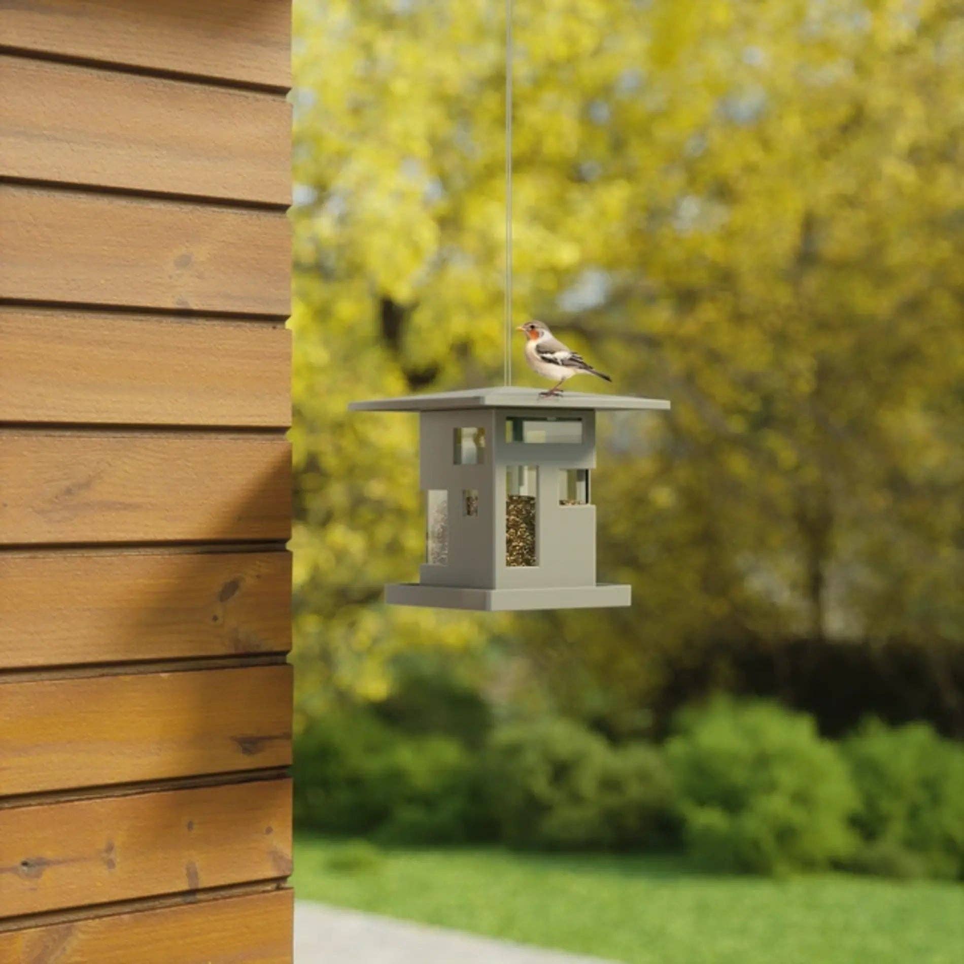Umbra - Wholesale Bird Feeder - Bird Cafe2