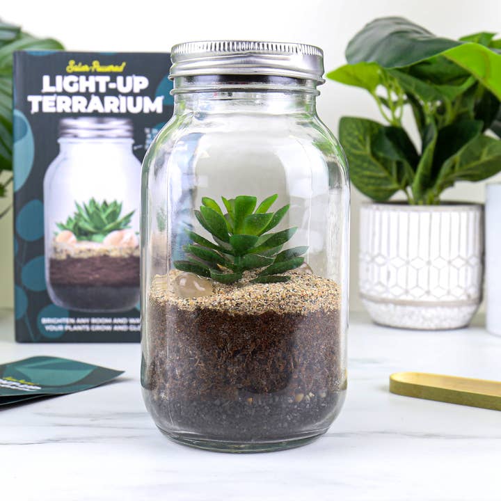 Light Up Terrarium Solar Light for wholesale by Gift Republic