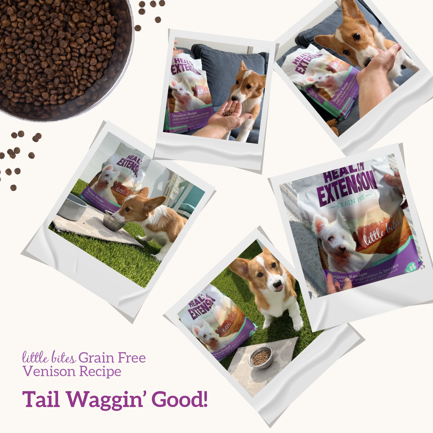 Health Extension Pet Care - Wholesale Pet Food - Dog - Grain Free Venison & Sweet Potato Little Bites Recipe7