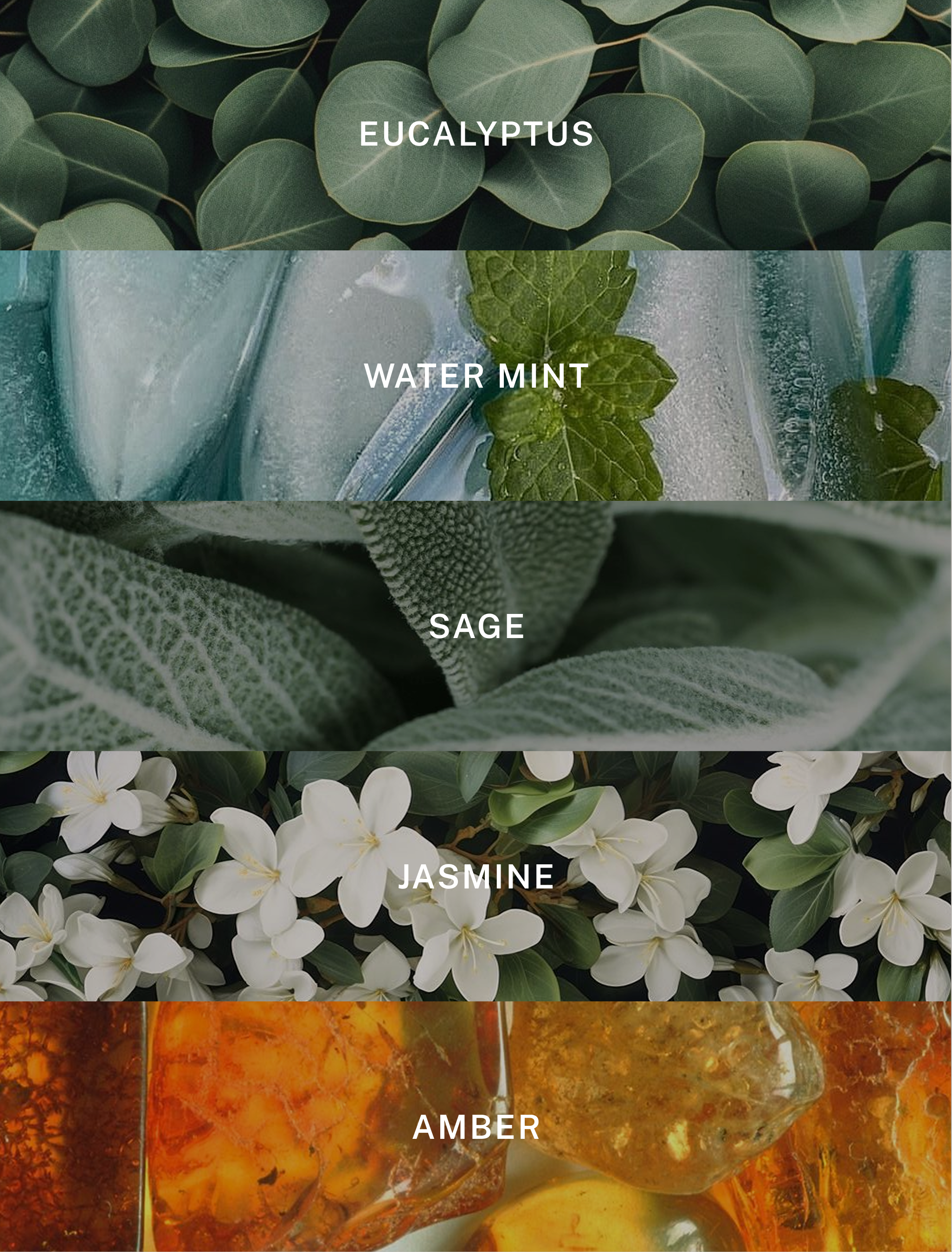 Hotel Lobby Candle - Wholesale Jar/Filled Candle - Spa - Relaxing Eucalyptus Luxury Soy Candle - 9.75 oz1