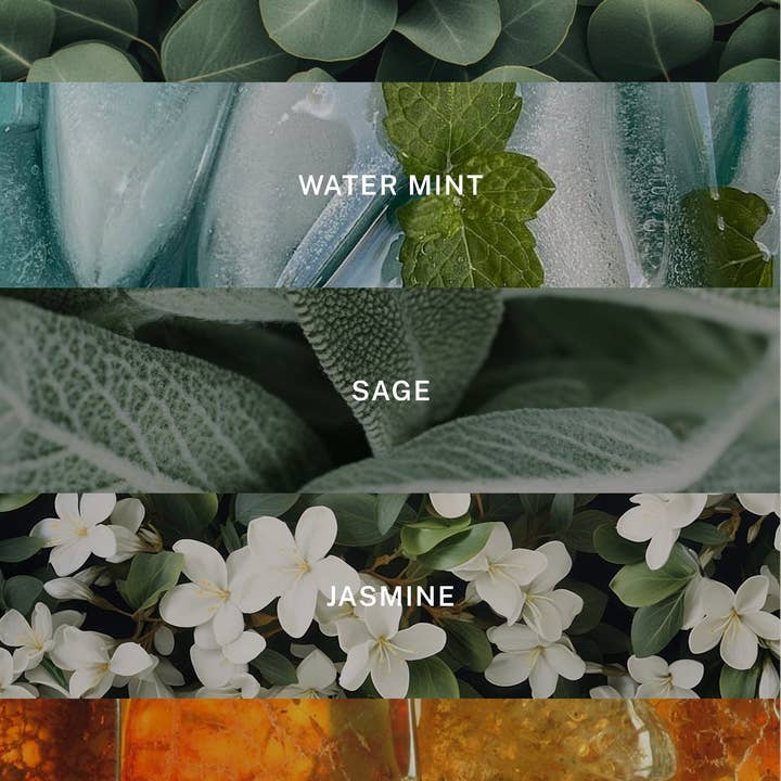 Hotel Lobby Candle - Wholesale Jar/Filled Candle - Spa - Relaxing Eucalyptus Luxury Soy Candle - 9.75 oz1