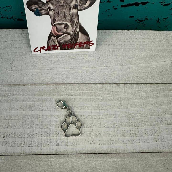 Crazy Heifers Wholesale - Wholesale Individual Charm/Pendant - Clip-on Charms Silver Tone20