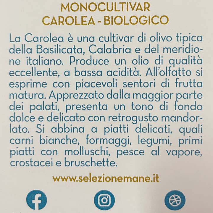 Manè - Excellence Made in Puglia - Vendita all'ingrosso Olio d'oliva - Monocultivar CAROLEA - Olio Extra Vergine di Oliva Biologico4