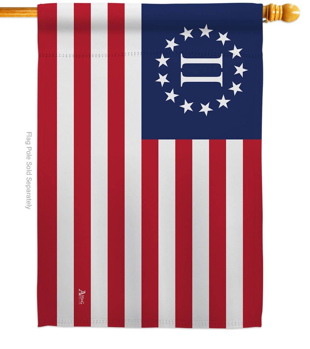 Two Group Flag Co – Großhandel Flagge – Zweite amerikanische Revolution Americana Historische US-Flagge1